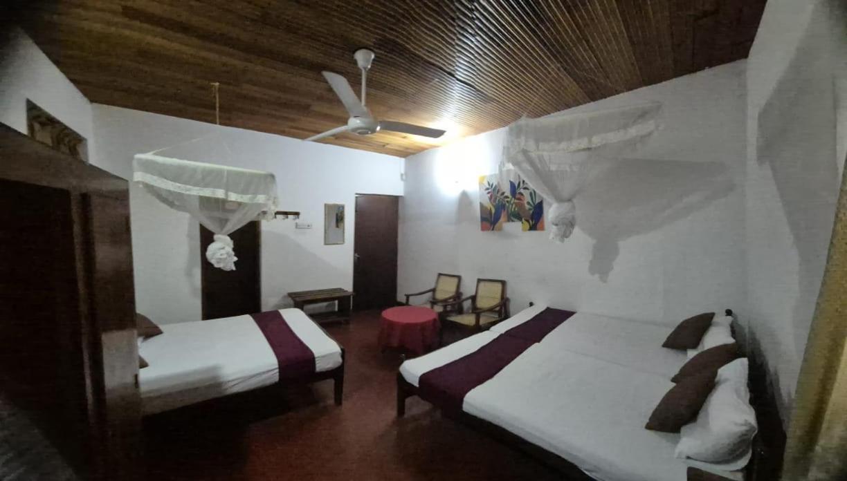 Lazy Bear Best Hostel In Kandy Exterior foto